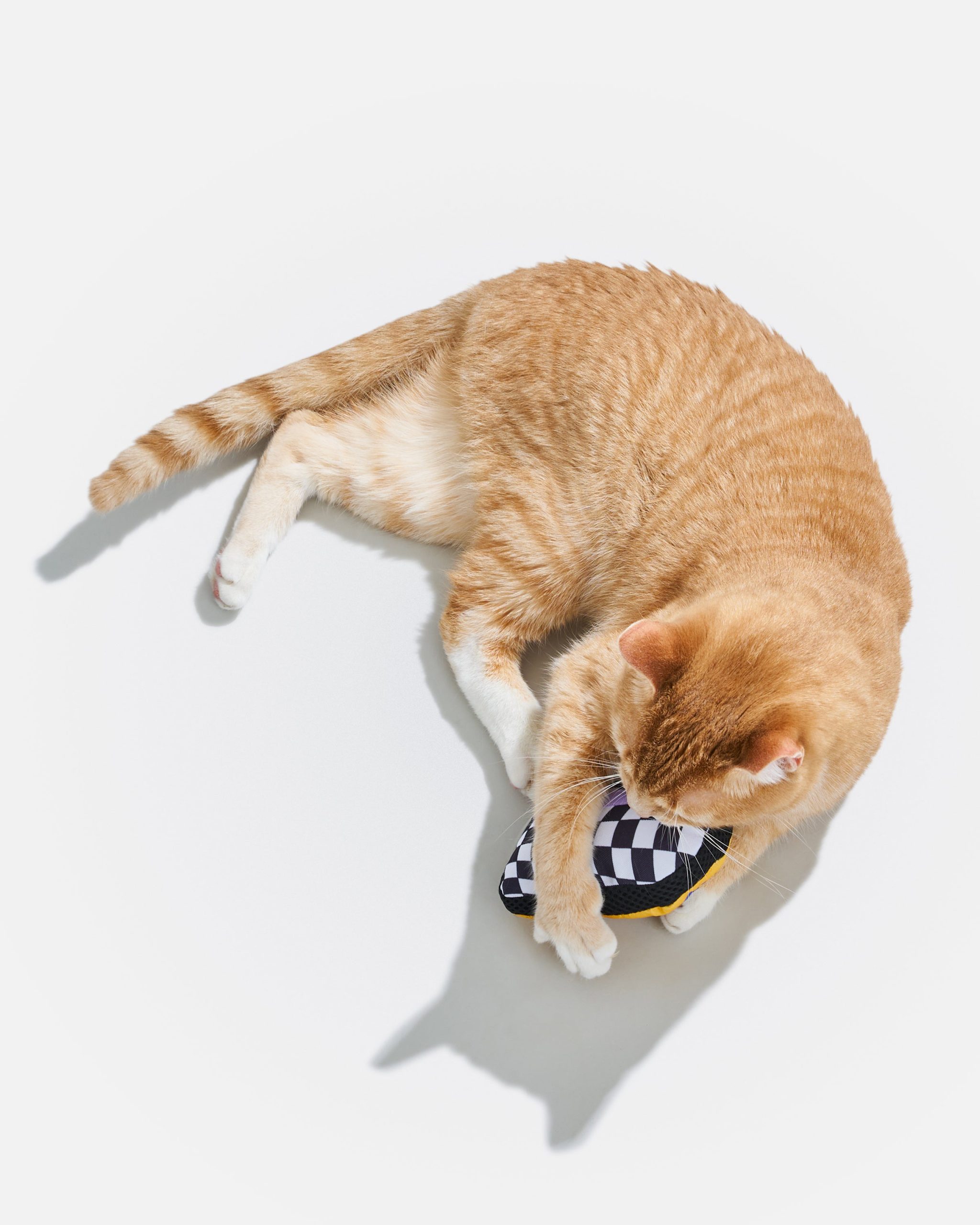 WO_VM_Cat_PlayfulPlush_MTA_OnCat_PDP_02_4x5_Web.jpg