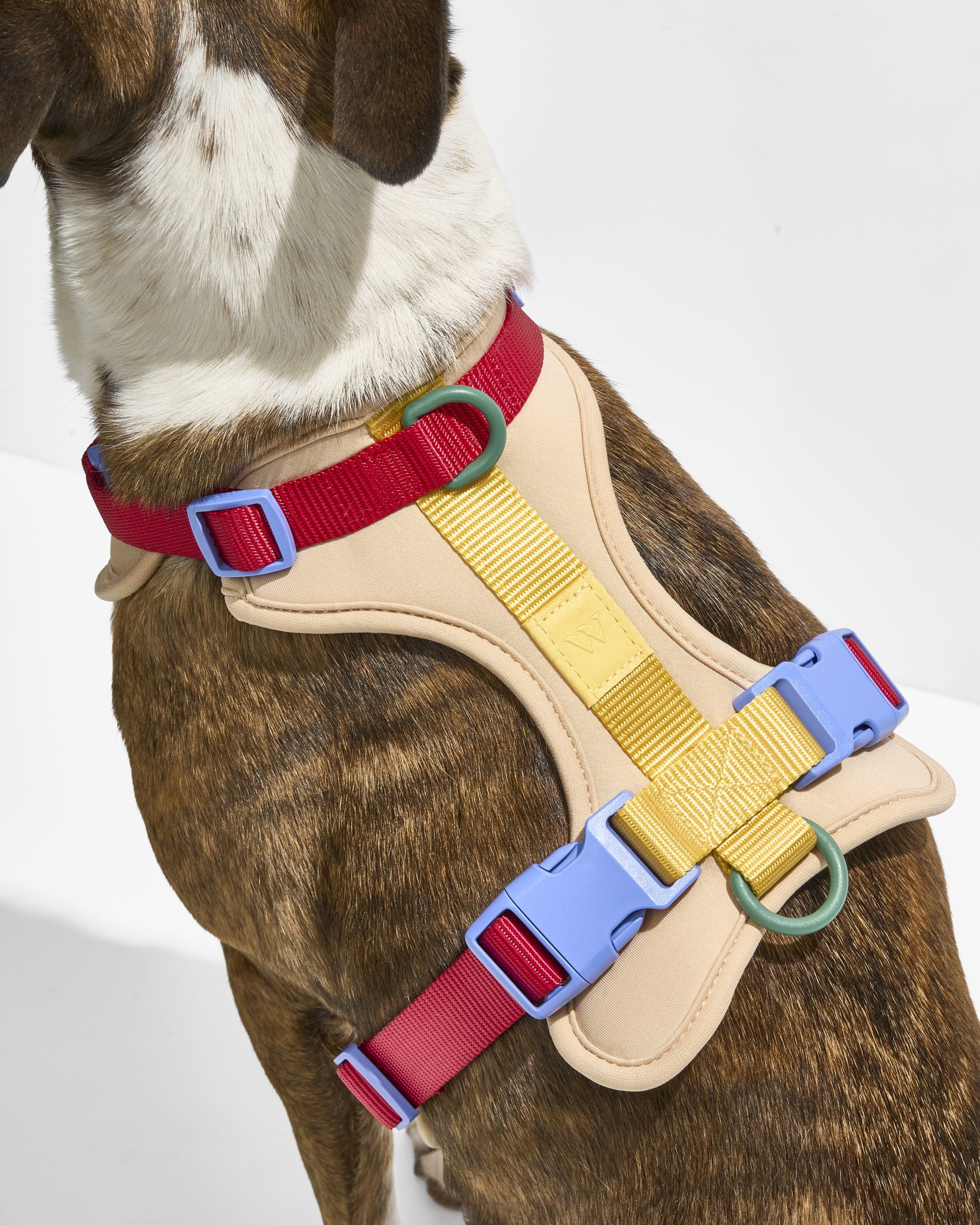 WO_VM_Harness_Retro_OnDog_PDP_03_4x5_Web_13b4eeb1-87b3-4da0-b831-3b48f490b6c8.jpg