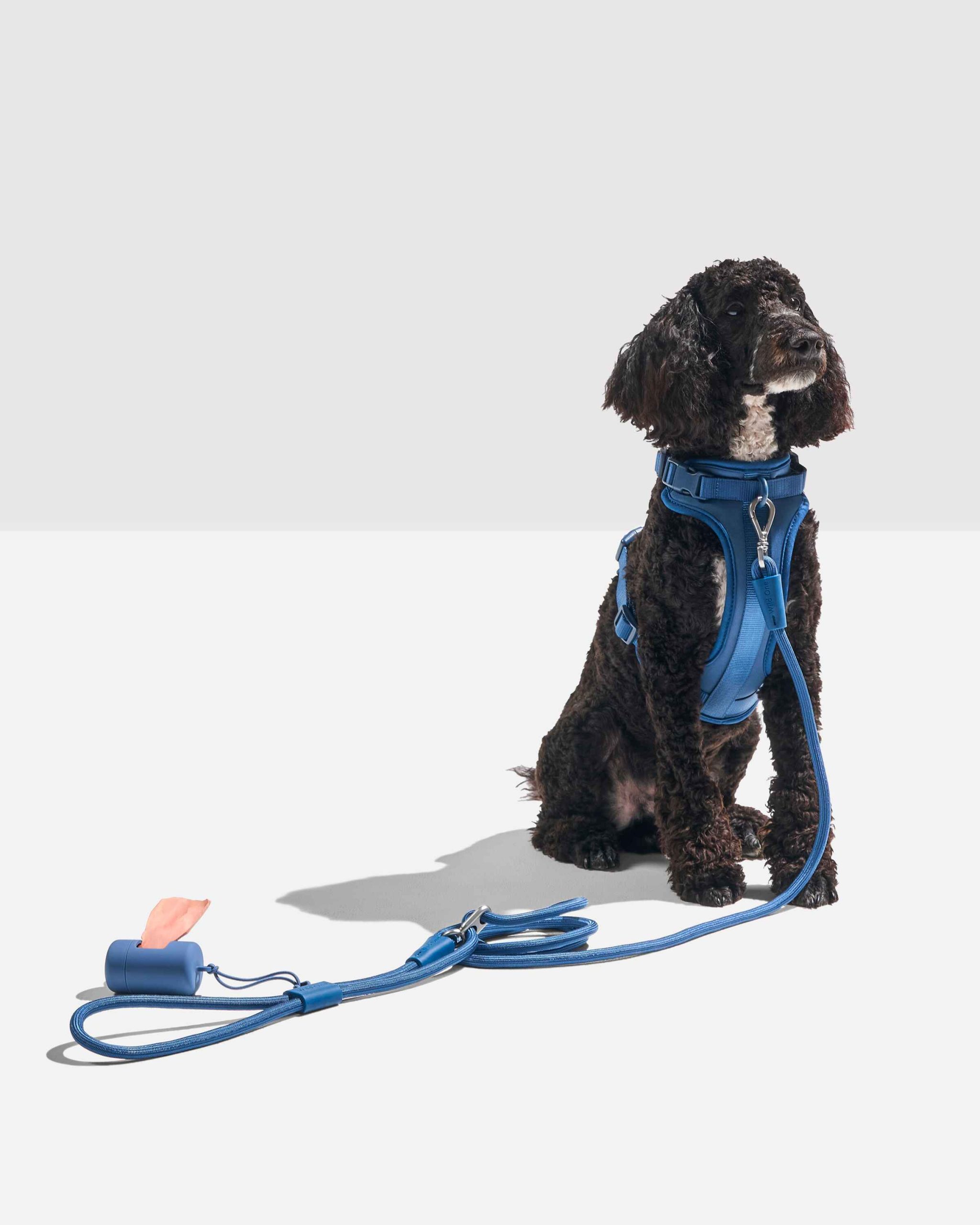 WO_VM_RopeLeash_WalkKitHarness_Navy_OnDog_PDP_02_4x5_Web.jpg