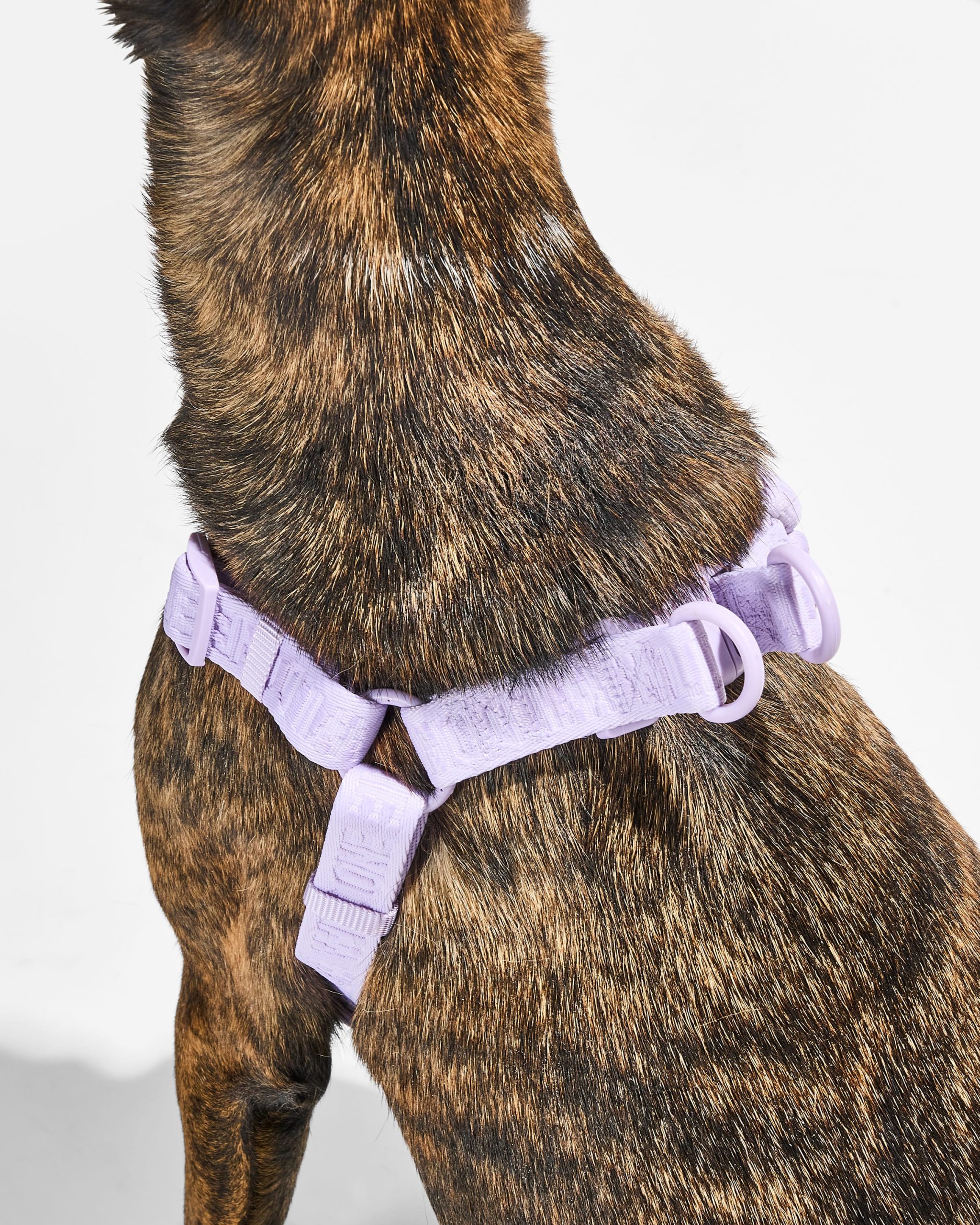 WO_VM_StepInHarness_Lilac_OnDog_AirCollection_PDP_05_4x5_Web.jpg