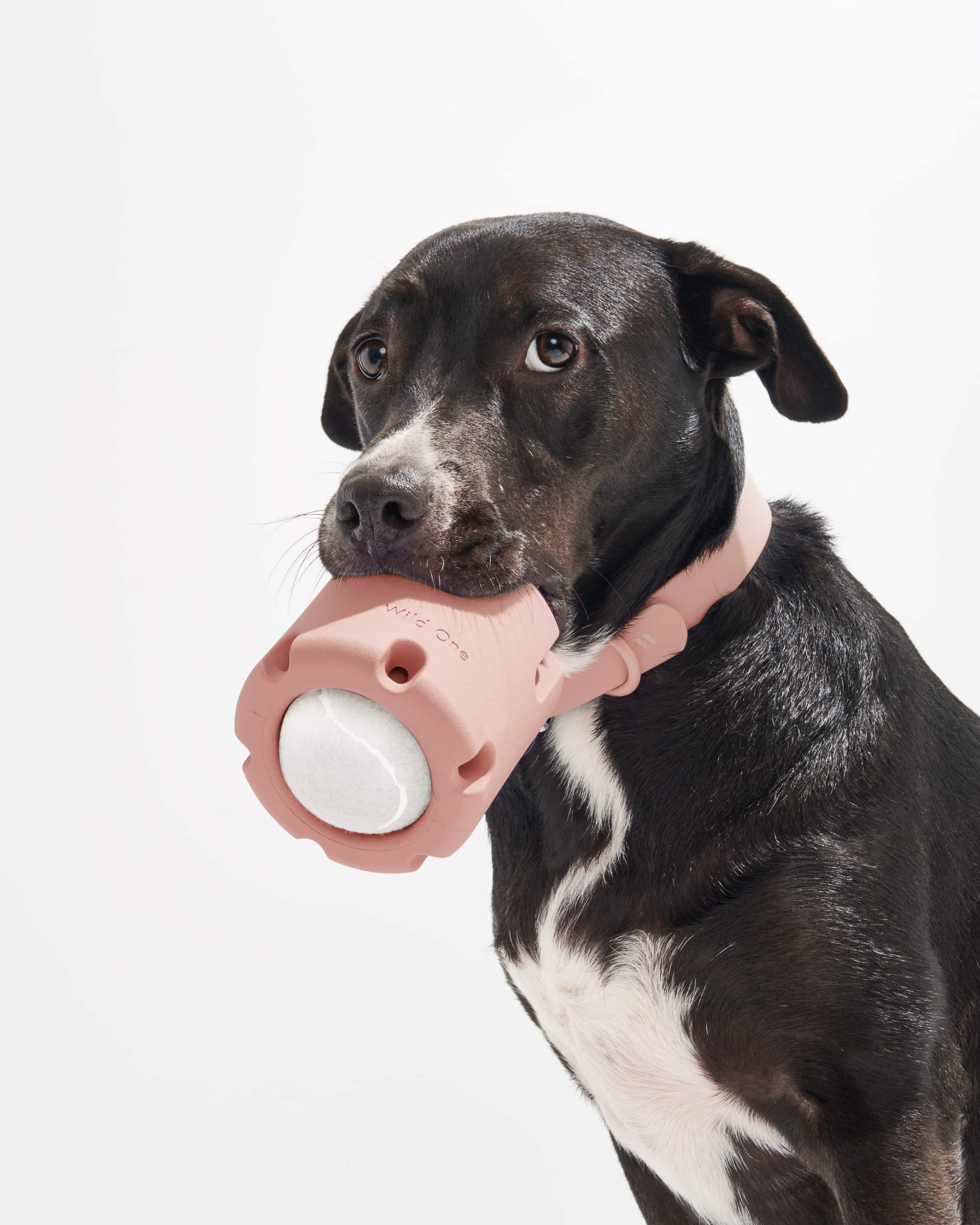 WO_VM_Studio_PDP_Toys_TennisTumble_Blush_Dog_1127_4x5_Web.jpg