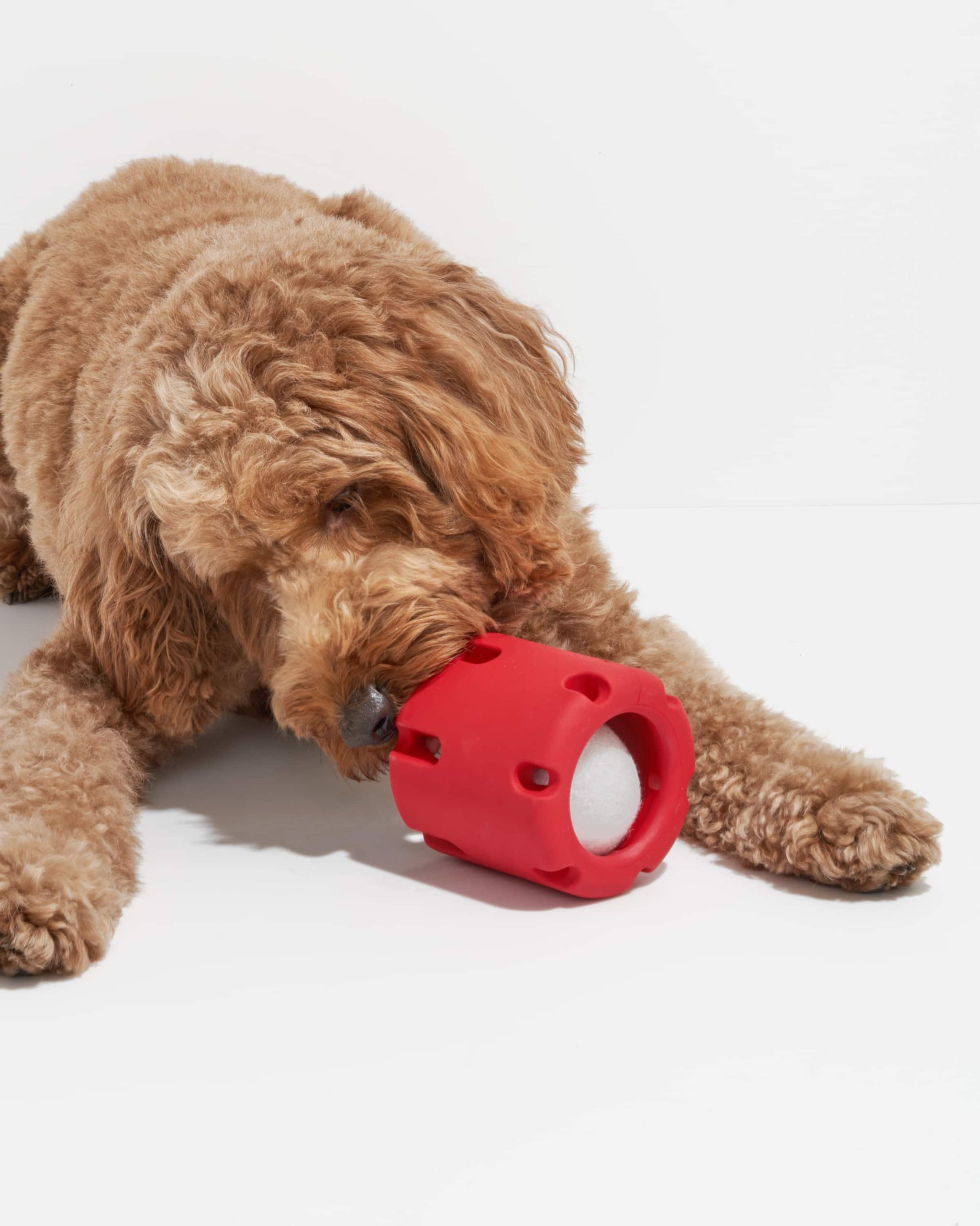 WO_VM_Studio_PDP_Toys_TennisTumble_Strawberry_Dog_01_4x5_Web.jpg