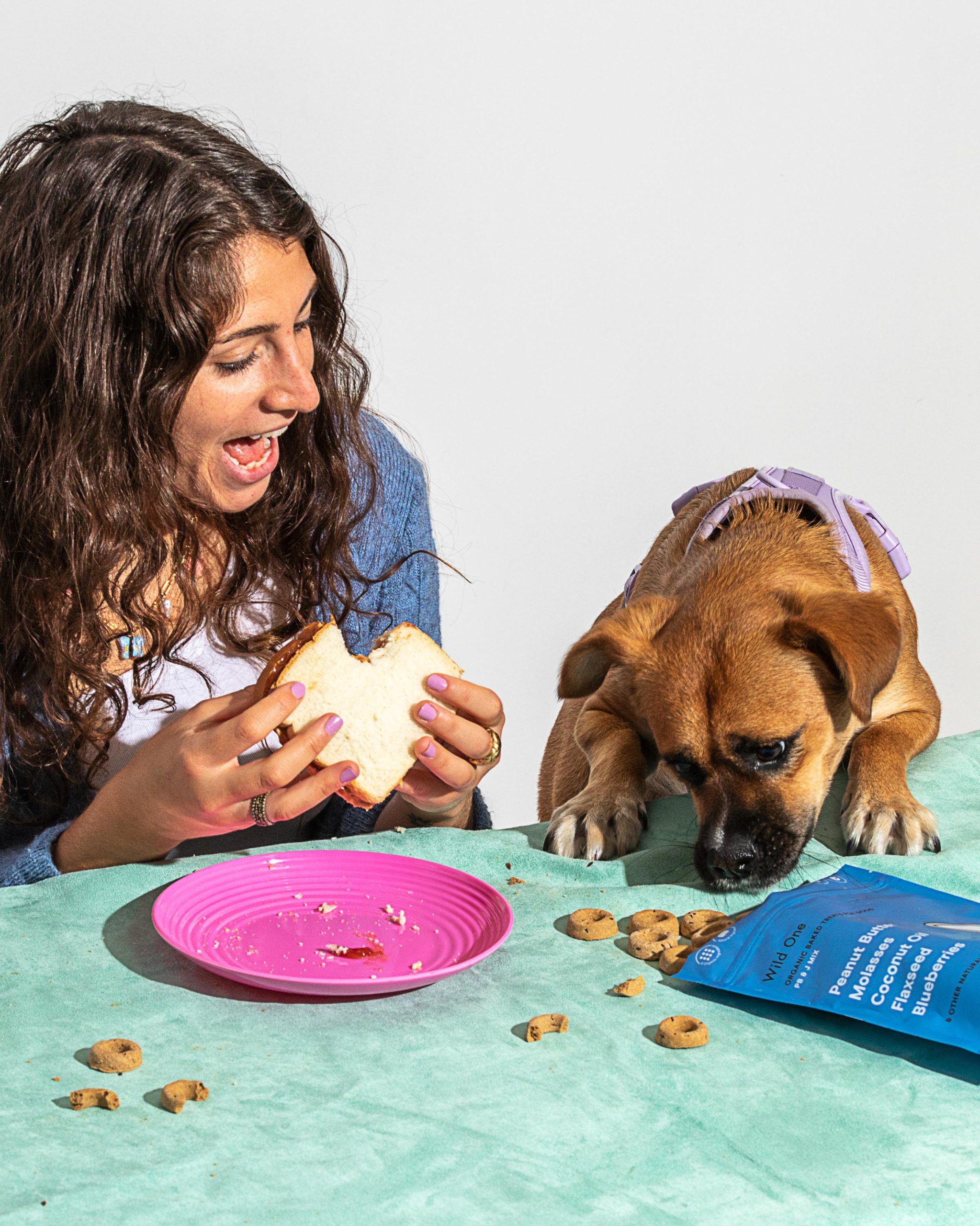 WO_VM_Studio_PDP_Treats_PBJ_Dog_02_Web_b10f8729-d162-4ba8-930f-012eb122b249-334422.jpg