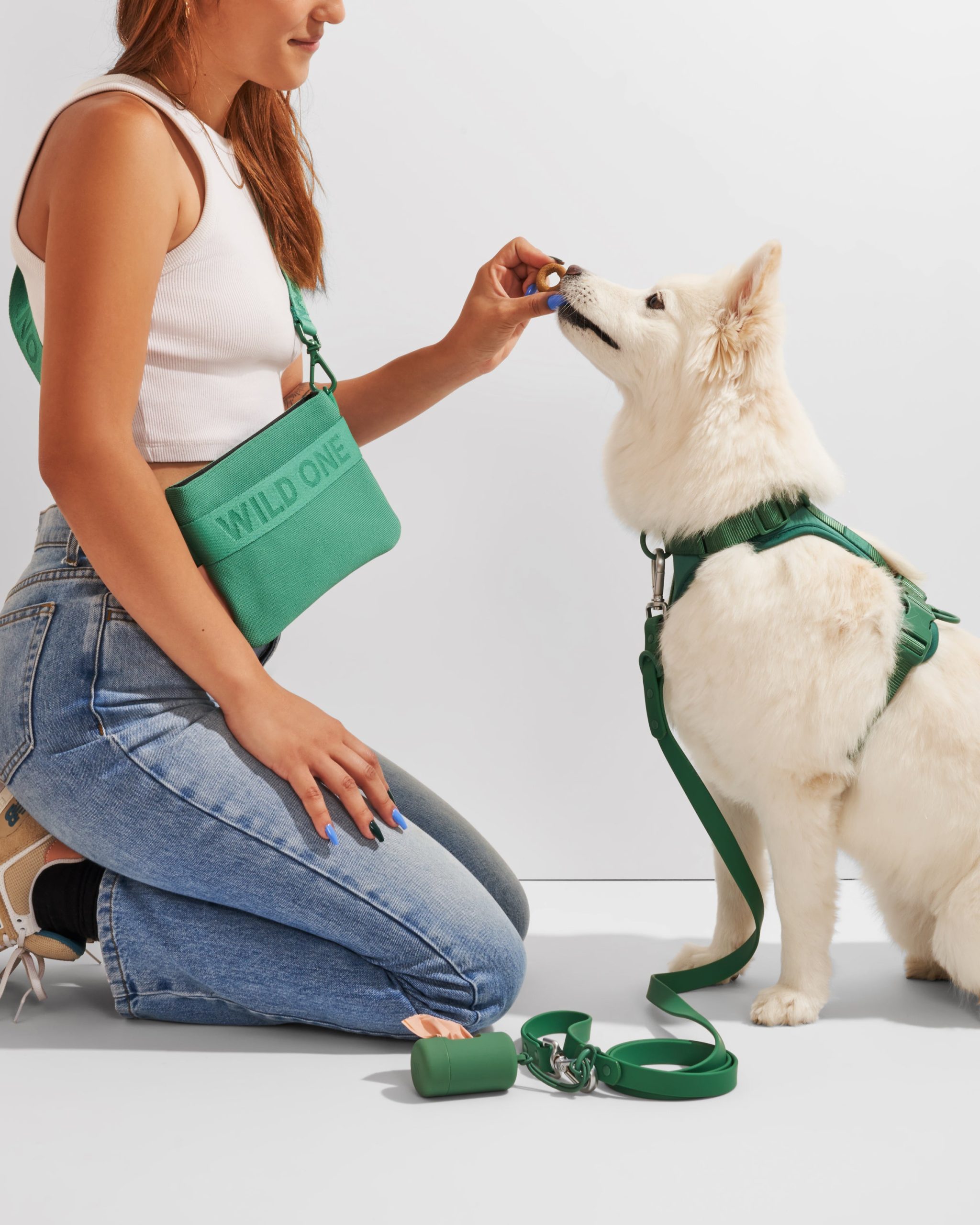 WO_VM_Studio_PDP_WalkandTreat_Harness_Spruce_Dog_01_4x5_Web.jpg