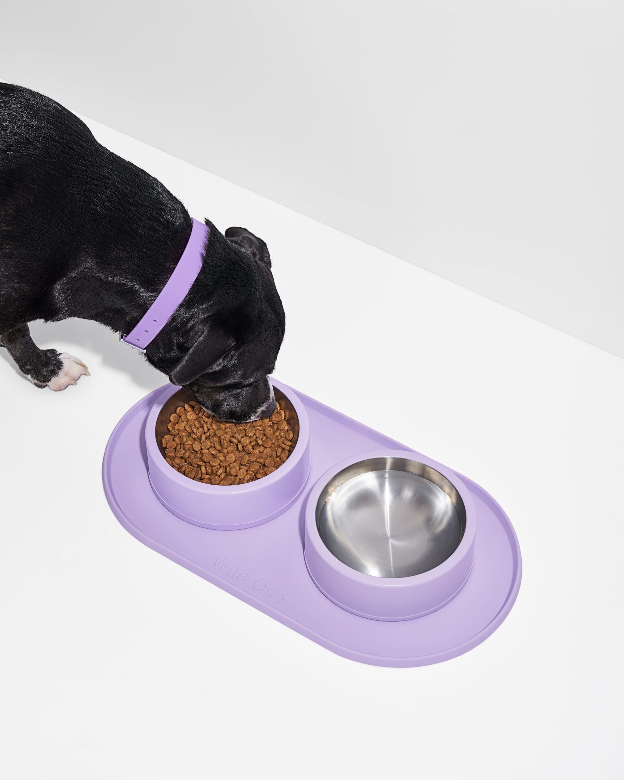 WO_VM_Studio_Placemat_Lilac_Dog_PDP_01_4x5_Web.jpg