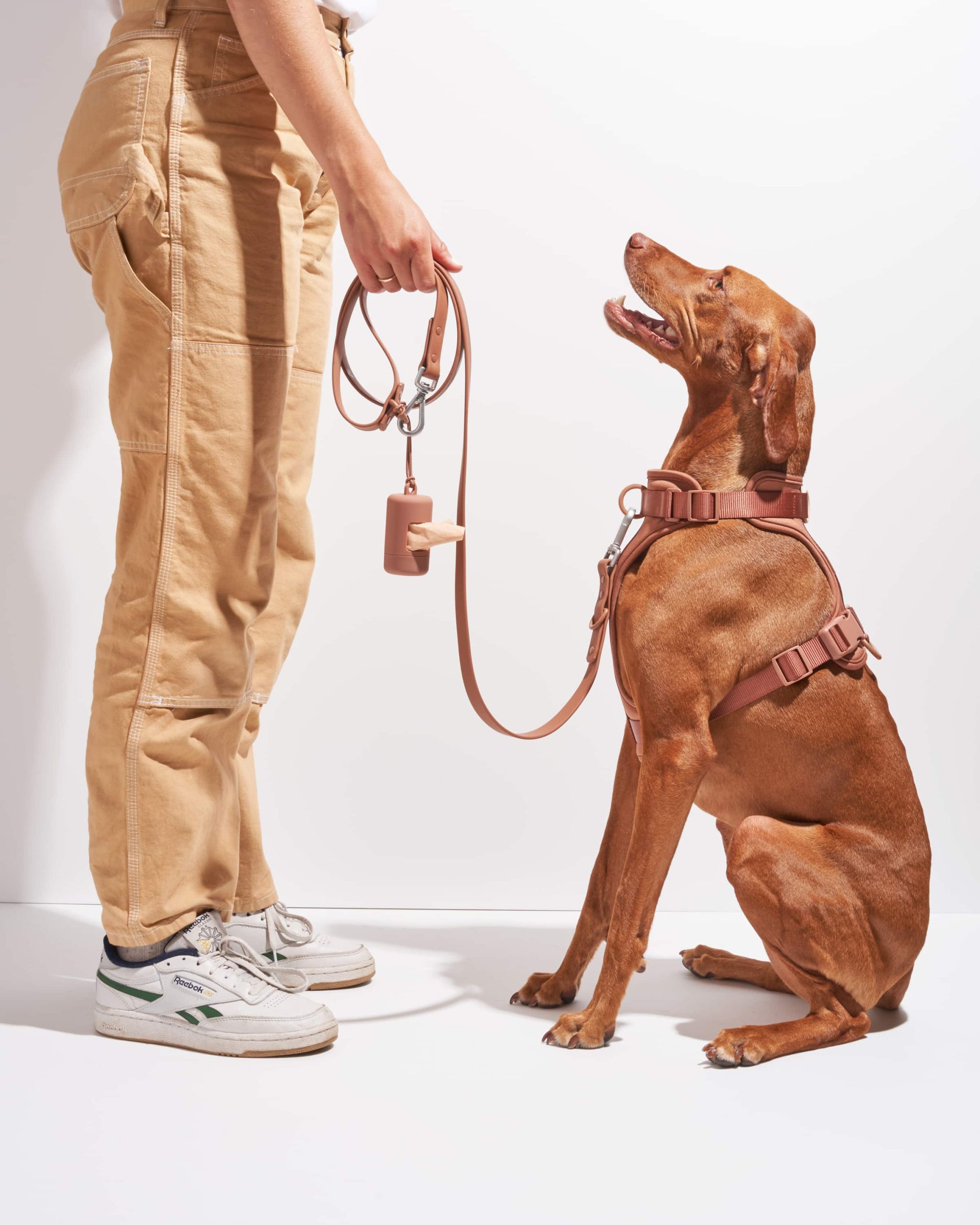 WO_VM_Studio_WalkKitHarness_Cocoa_Dog_02_4x5_Web_2830b989-de17-43b5-992a-0747cb6b699f.jpg