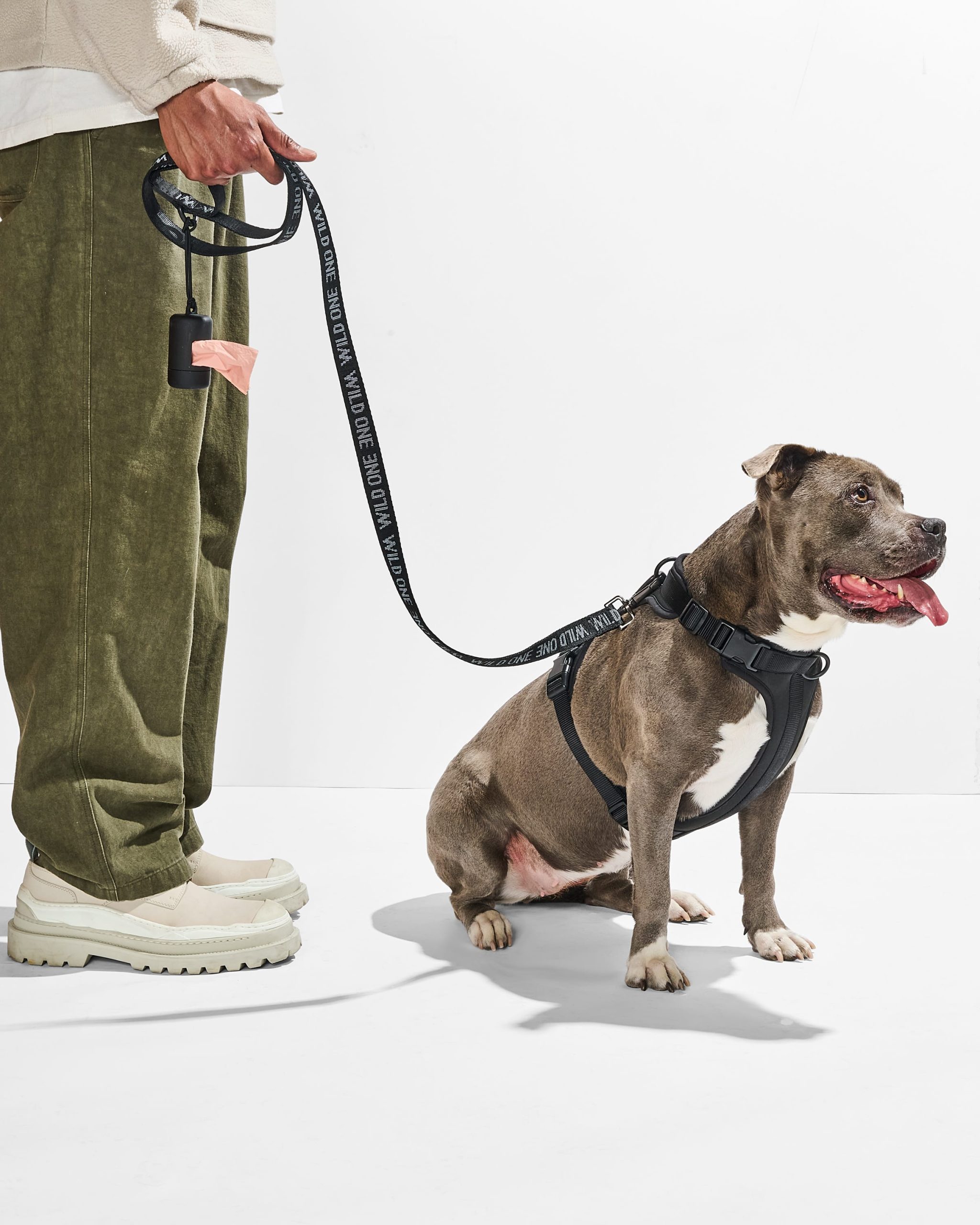 WO_VM_WalkKitStepInHarness_Black_OnDog_AirCollection_PDP_03_4x5_Web.jpg