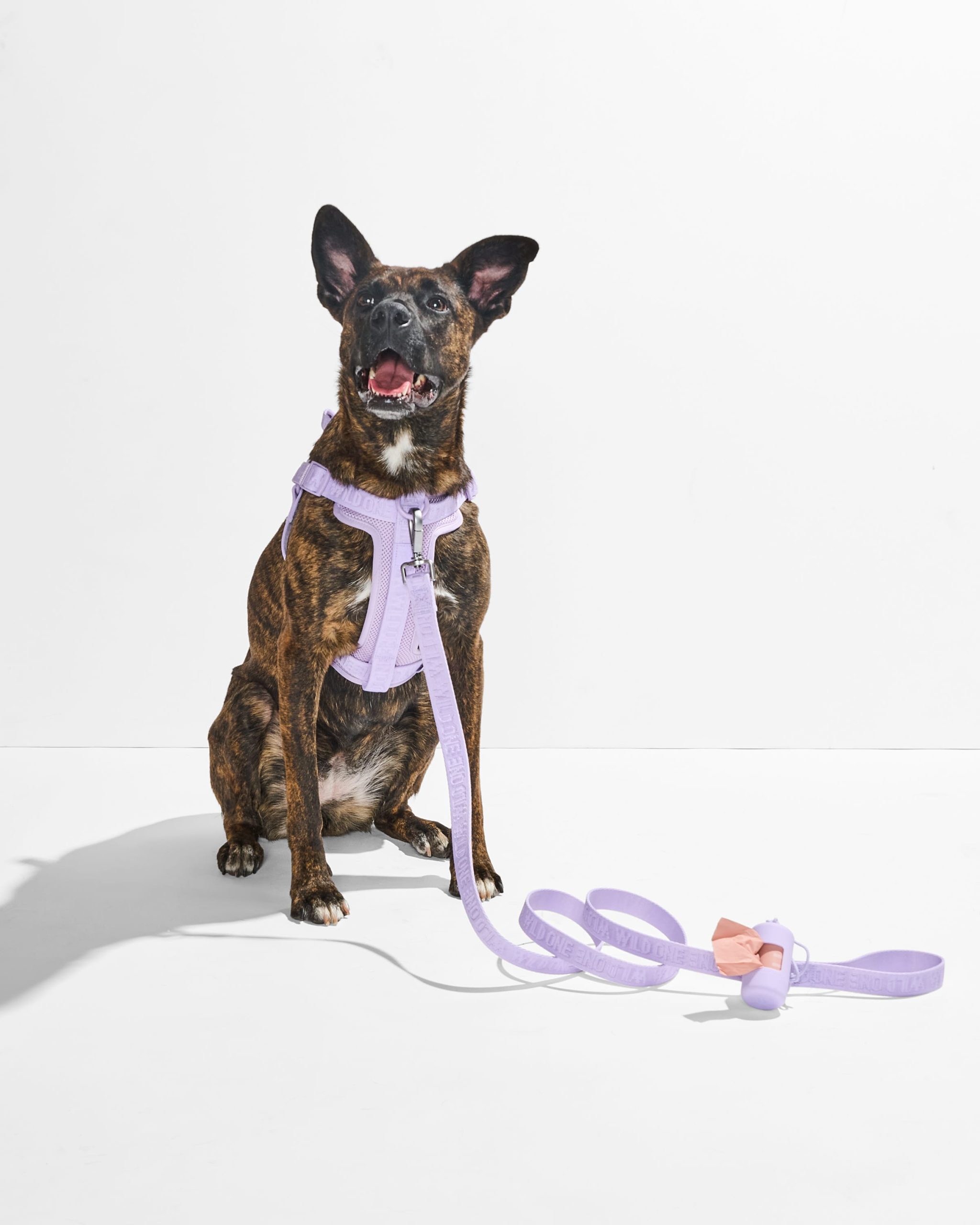WO_VM_WalkKitStepInHarness_Lilac_OnDog_AirCollection_PDP_02_4x5_Web.jpg