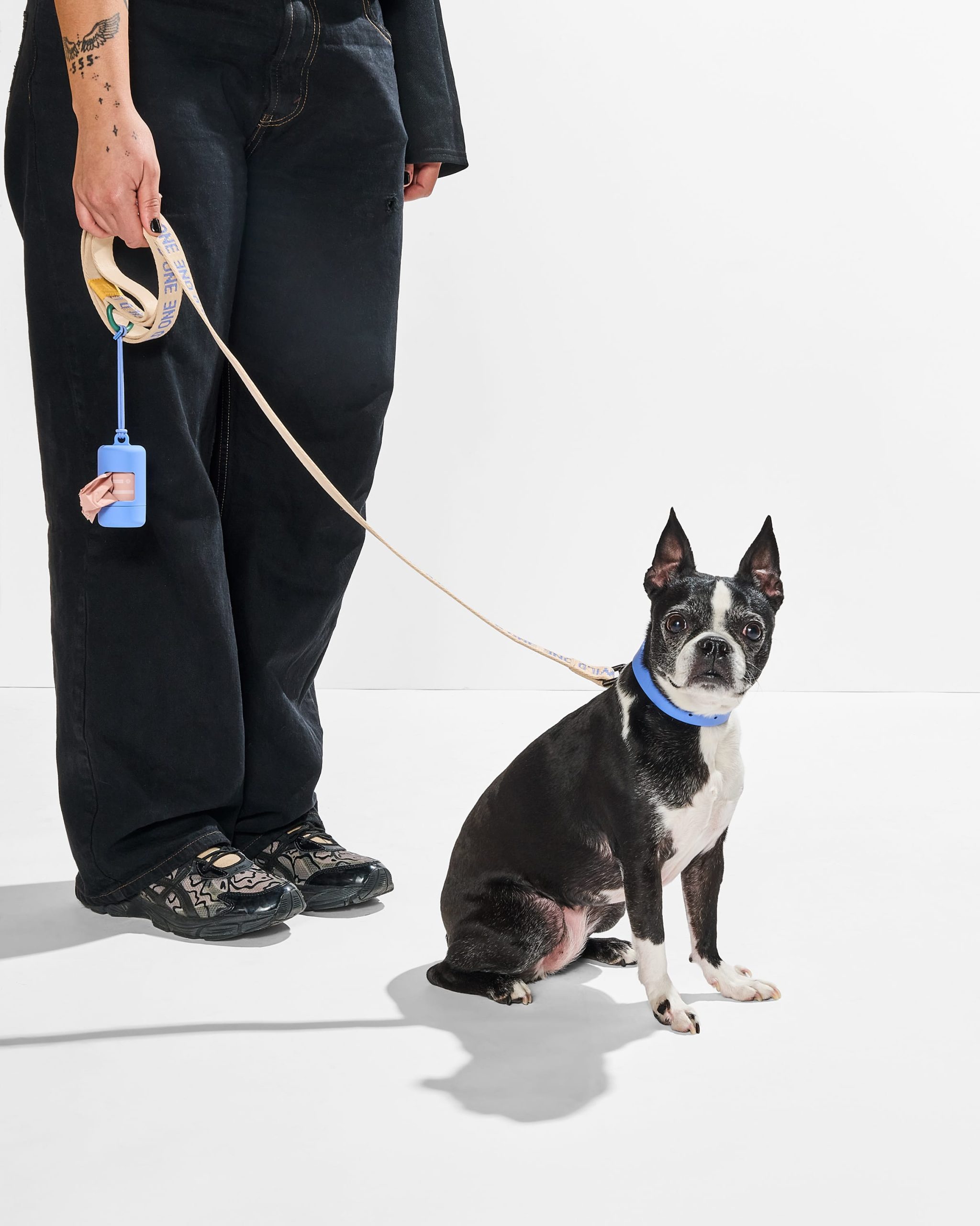 WO_VM_WovenLeash_Retro_Collar_PBC_Moonstone_OnDog_AirCollection_PDP_01_4x5_Web.jpg